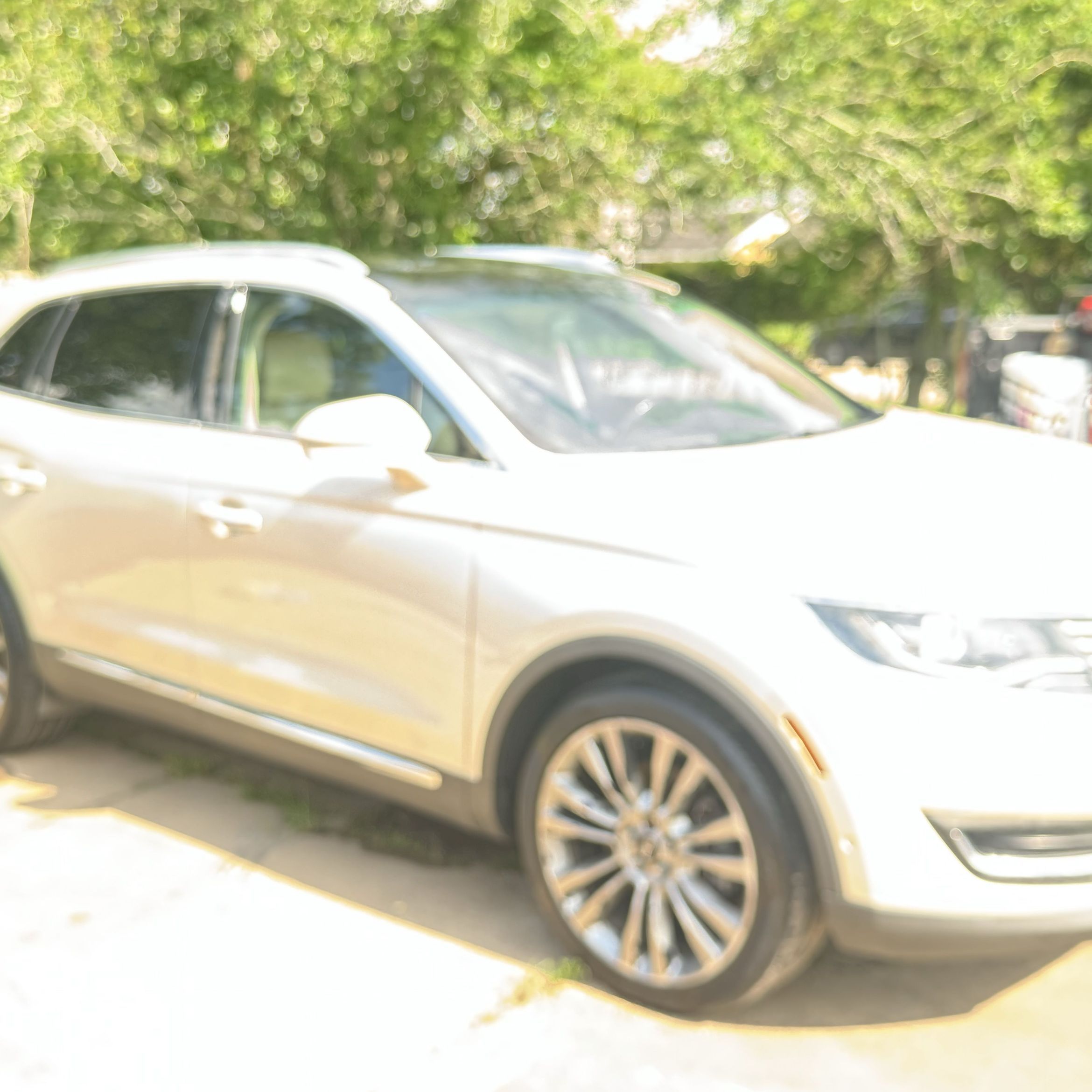 Vehicle interior shampooed and conditioned by PADS