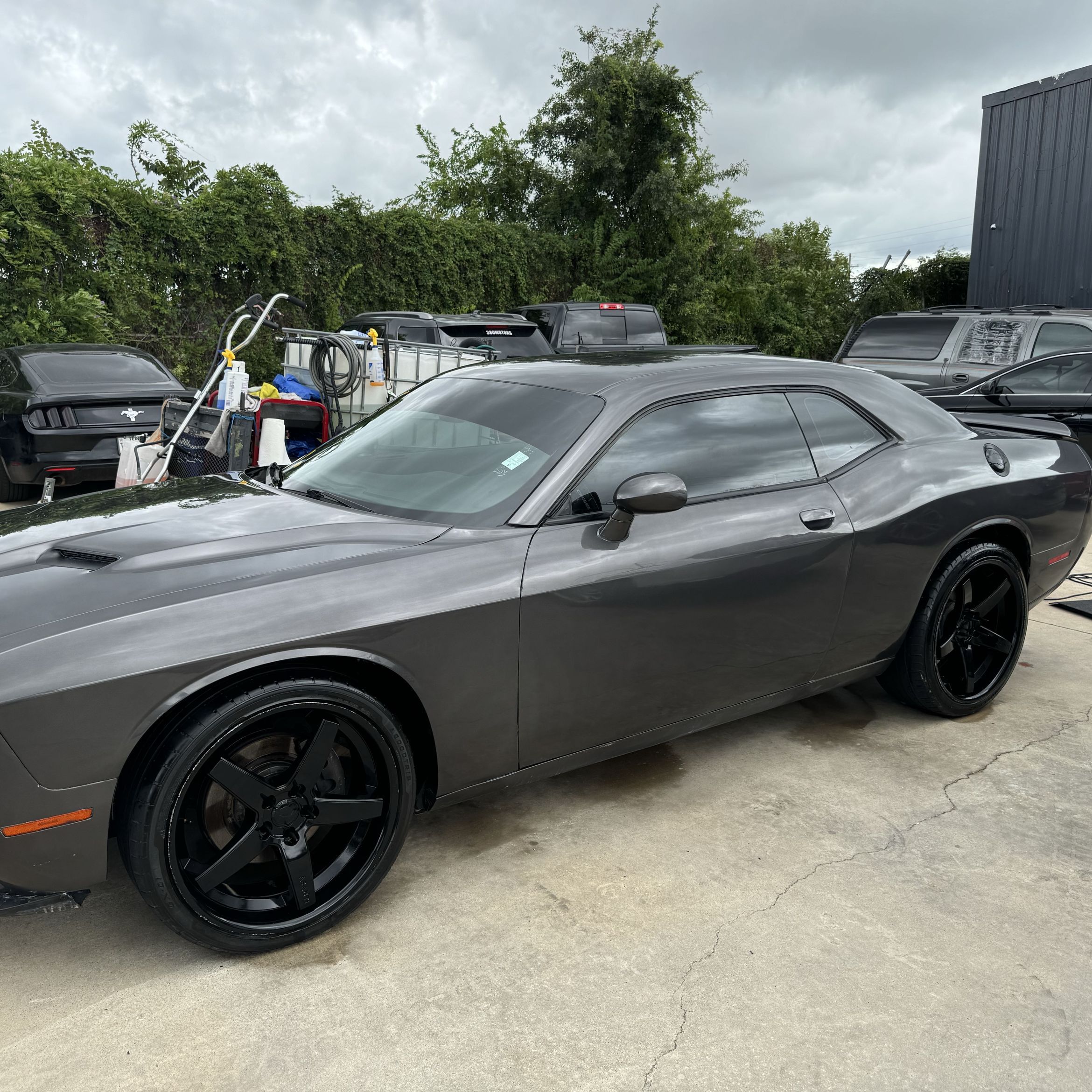 Dodge Challenger after exterior detail and wax